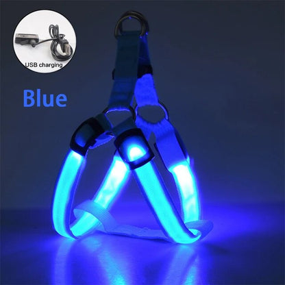 LED Dog Harness