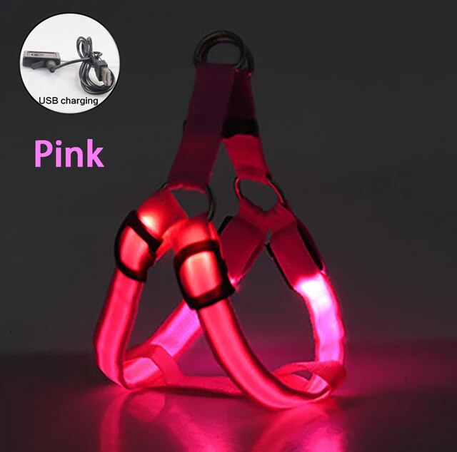 LED Dog Harness