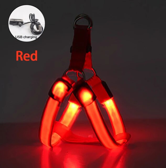 LED Dog Harness